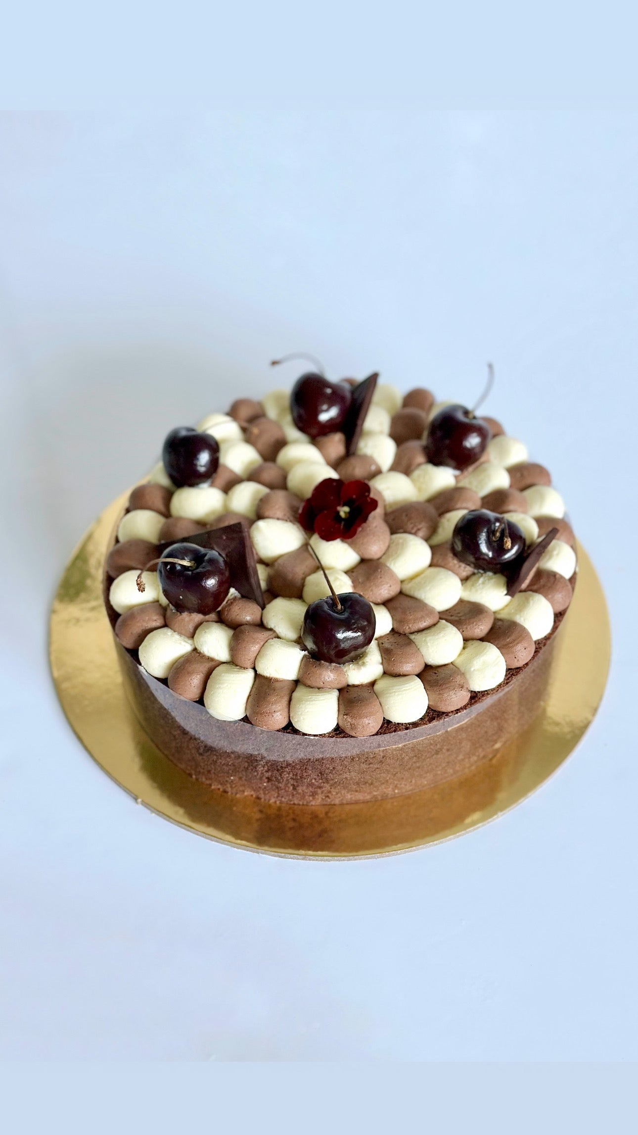 Forêt noire revisité